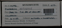 Image Associated With the Occurence